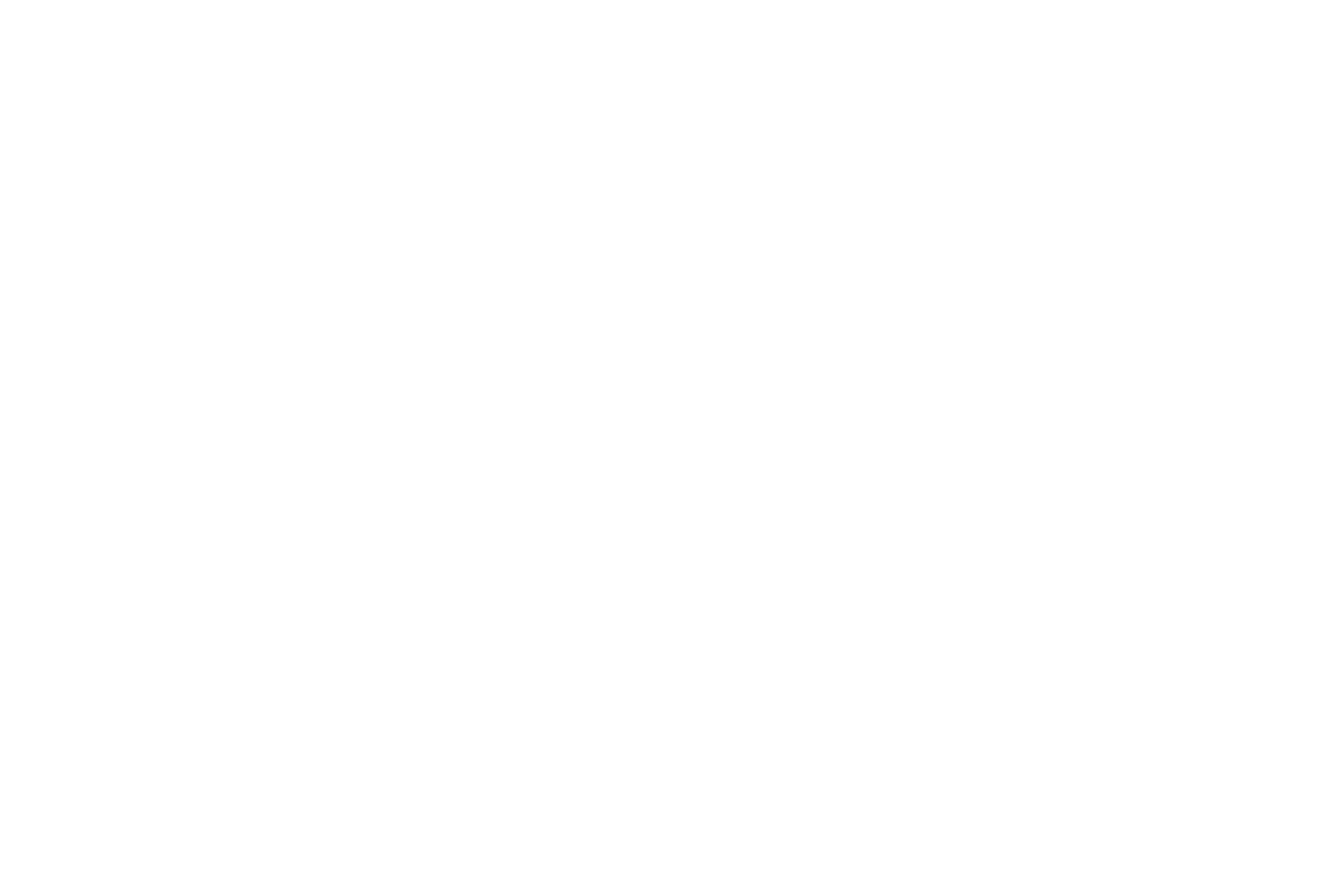 Bink logo transparent large